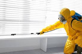 Outdoor Pest Control in Citrus Hills, FL